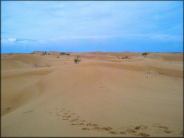 Kermit Sand Dunes Dune Area