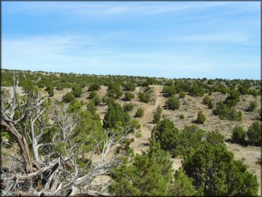 Scenic view of Stead MX OHV Area