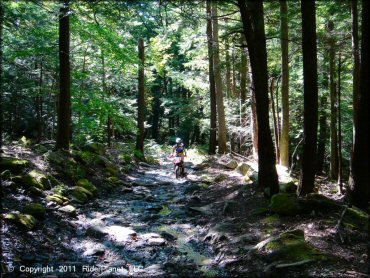 Honda CRF Motorcycle at Beartown State Forest Trail