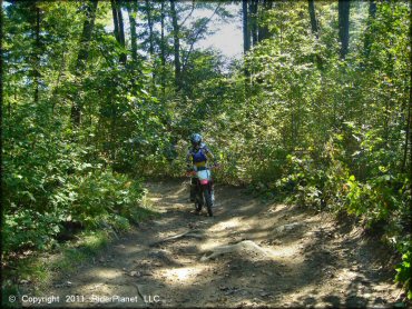 Honda CRF Motorcycle at Beartown State Forest Trail