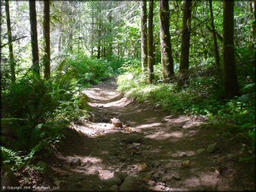 Example of terrain at Jordan Creek Trail