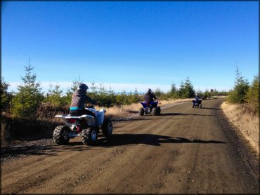 Crooked Finger OHV Trails