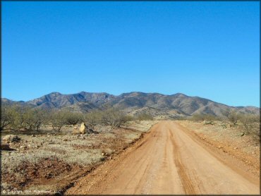 Terrain example at Mt. Lemmon Control Road Trail