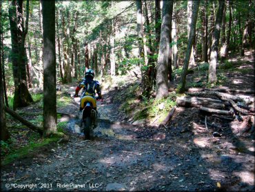 Honda CRF Motorbike at Beartown State Forest Trail