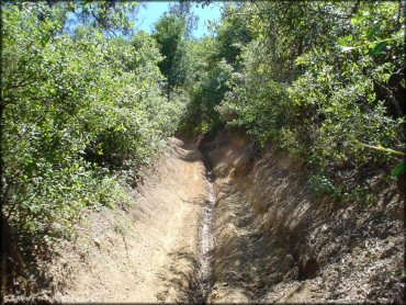 Terrain example at South Cow Mountain Trail