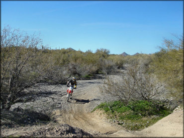 Rider on Honda CRF250X dirt bike riding on wide ATV trail.