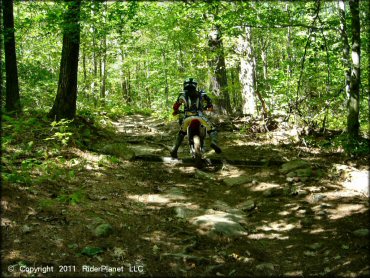 Honda CRF Motorcycle at Beartown State Forest Trail