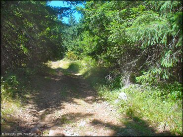 A trail at Prairie Peak Trail