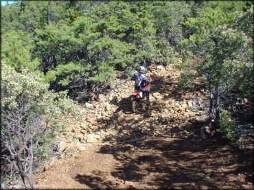 Honda CRF Dirt Bike at South Cow Mountain Trail