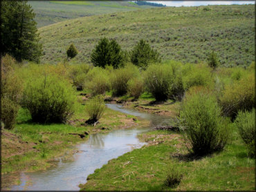 Scenic view of Shoshone Creek.