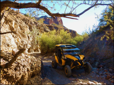 A Can-Am UTV crawls over rocks in a steep walled desert canyon.