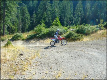 Girl riding a Honda CRF Dirt Bike at Pilot Creek OHV Trails