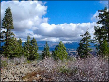 Scenery at Prosser Hill OHV Area Trail