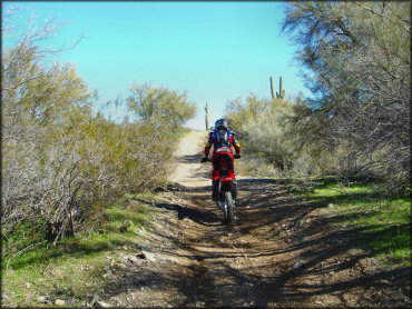 Honda CRF150R on the trail.