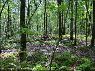 OHV at Franklin Trails