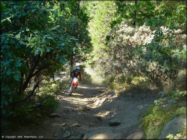 Honda CRF Motorcycle at Miami Creek OHV Area Trail