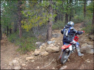 Honda CRF Trail Bike at Prosser Hill OHV Area Trail