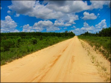 View of main entrance road that leads toward campground.