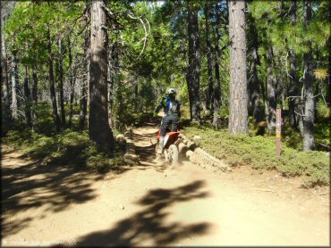 Honda CRF Motorcycle at Elkins Flat OHV Routes Trail