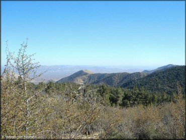 Scenery at Dove Springs Trail