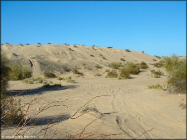 Terrain example at Ehrenberg Sandbowl OHV Area