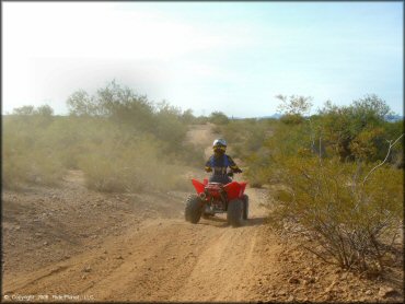 OHV at Desert Wells Multiuse Area Trail