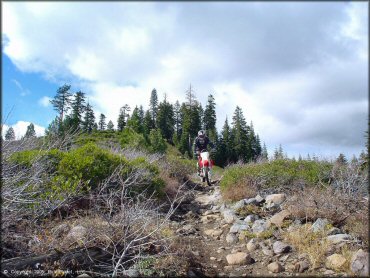 Honda CRF Motorcycle at Prosser Hill OHV Area Trail