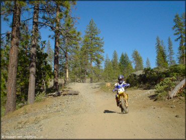 Suzuki mini bike on the trail.