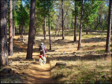 Georgetown Trail