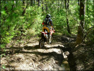 Honda CRF Motorbike at Franklin Trails