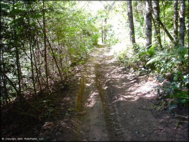 Example of terrain at Low Pass Trail