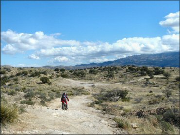 Honda CRF Motorcycle at Redington Pass Trail