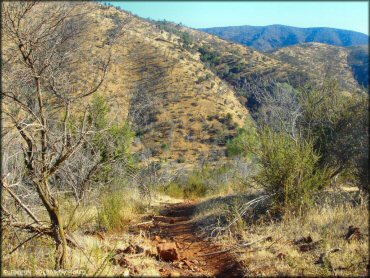 Example of terrain at Frank Raines OHV Park Trail