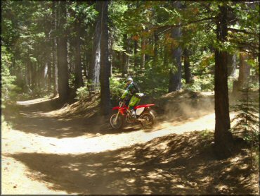 Honda CRF Motorbike at Gold Note Trails