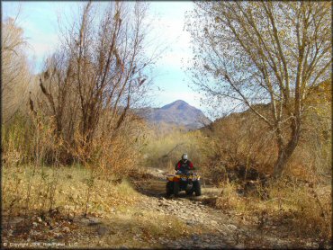 OHV at Log Corral Canyon Trail