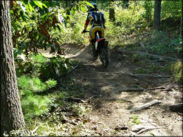 Honda CRF Motorcycle at Hodges Village Dam Trail