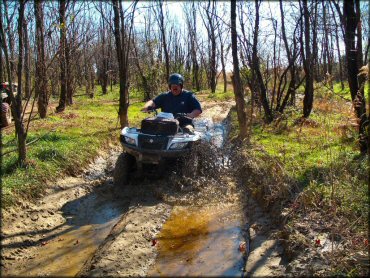 Interlake State Recreation Area Trail