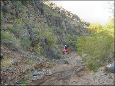 OHV at Log Corral Canyon Trail