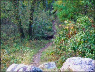 A trail at Seven Mountains Ramble Trail