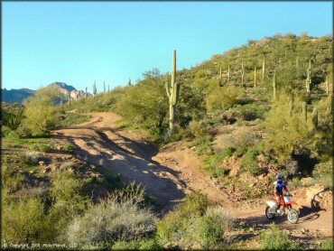 Honda CRF Motorbike at Bulldog Canyon OHV Area Trail