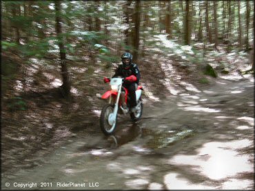 Honda CRF Motorcycle at Pisgah State Park Trail
