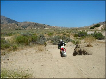 Honda CRF Motorcycle at Hungry Valley SVRA OHV Area