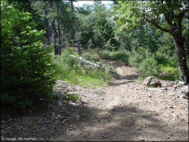 A trail at Chappie-Shasta OHV Area Trail