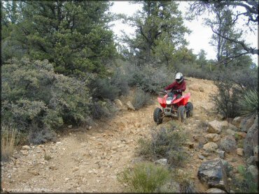 Sheridan Mountain Smith Mesa OHV Trail System