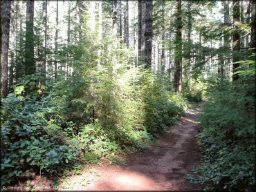 Example of terrain at Blue Ridge Trails