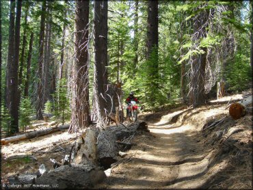 Honda CRF Motorcycle at Corral OHV Trail