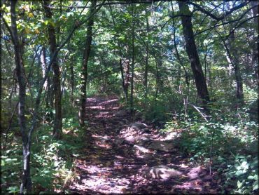 ATV trail with fallen leaves, branches and rocks surrounded by trees.