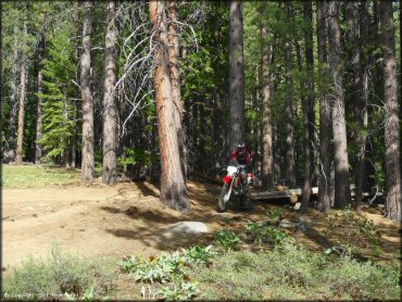 Honda CRF Off-Road Bike at Corral OHV Trail