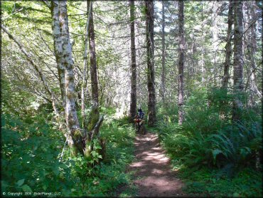 OHV at Diamond Mill OHV Area Trail