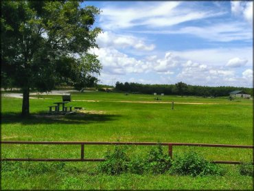 Grassy campsite with picnic table and fire ring under mature oak tree.